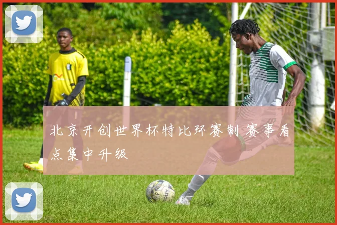 北京开创世界杯特比环赛制 赛事看点集中升级