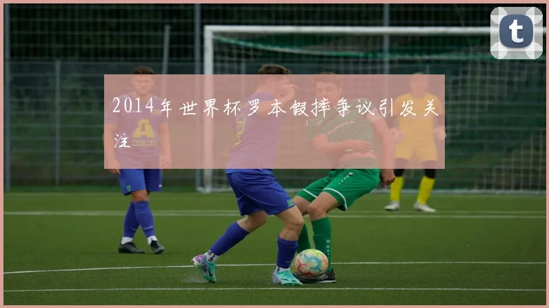 2014年世界杯罗本假摔争议引发关注